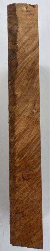 Top Maple Burl American Billet, 70mm, Unique Piece #024